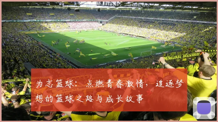 为志篮球：点燃青春激情，追逐梦想的篮球之路与成长故事