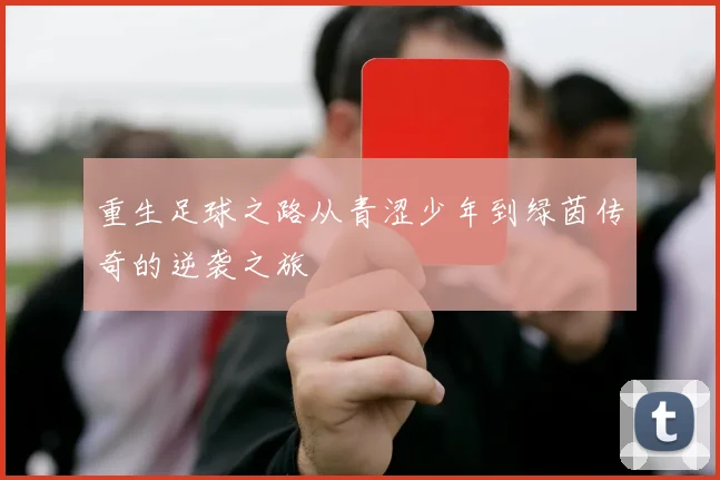 重生足球之路从青涩少年到绿茵传奇的逆袭之旅